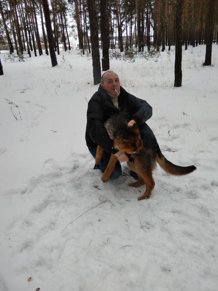 ���� 55718616 ������� �����, 55 ���, ���� ���������� � ���������������