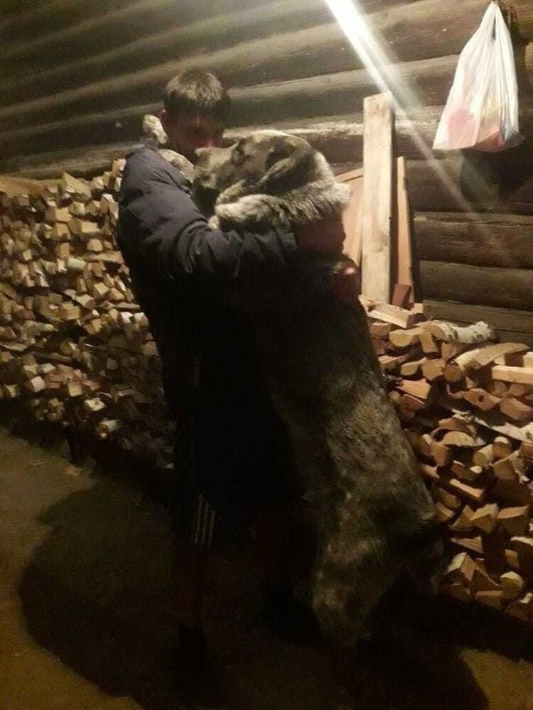 ���������� ��������, ���� ������� ����, 39 ���, ������������ ��� ������, ����� � ���������, c�������� ���������