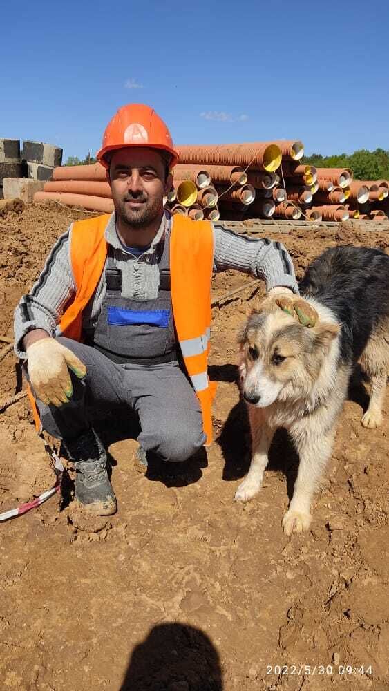 ���� 31034026 ������� ����, 36 ���, ���� ���������� � �������