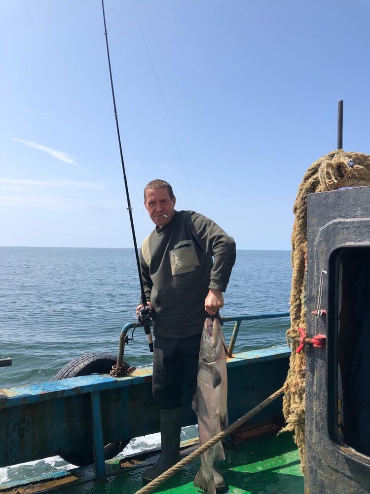  50188916  , 56 ,    -