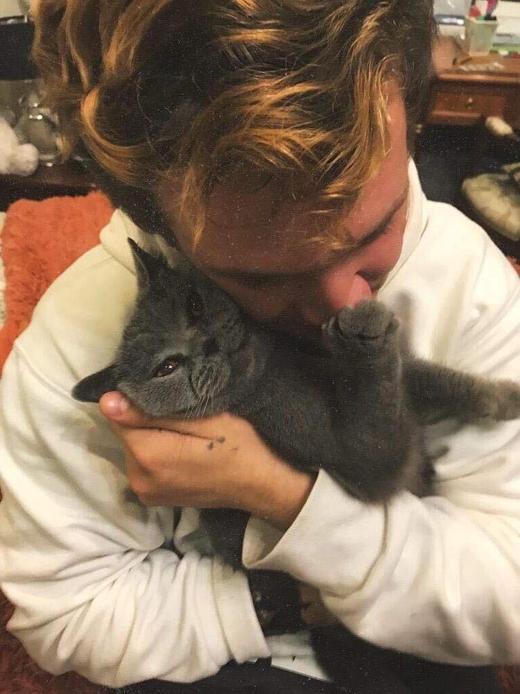 ���������� ������, ���� ������� ������, 26 ���, ������������ ��� ������, ����� � ���������, c�������� ���������, ���������