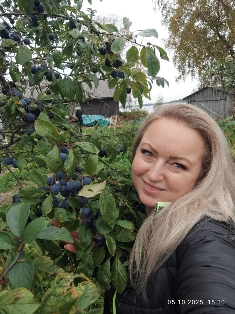 ���� 55579586 ������� ���������, 35 ���, ���� ���������� � ����������