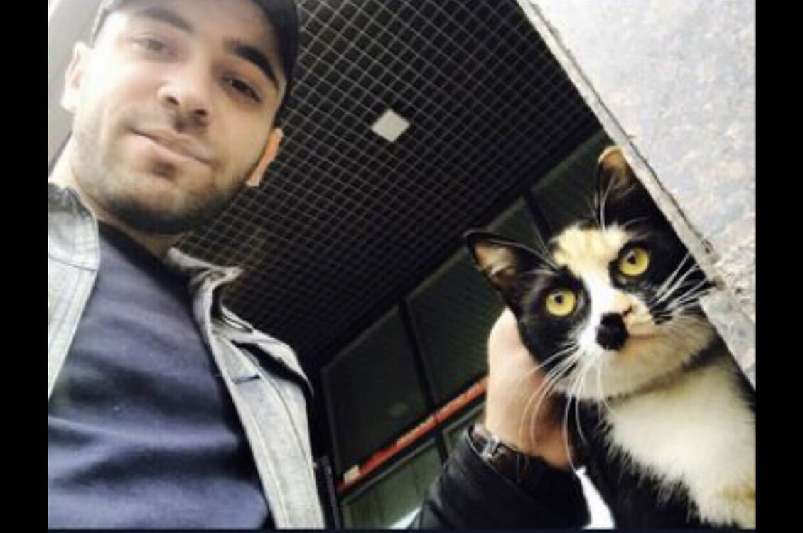 ���������� �����-���������, ���� ������� ����, 31 ���, ������������ ��� ������, ����� � ���������, c�������� ���������, ���������