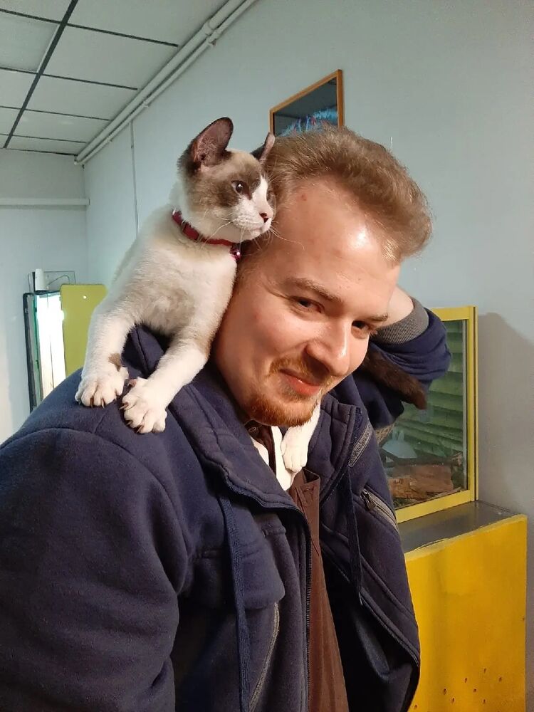 ���� 29786046 ������� ������, 26 ���, ���� ���������� � ������