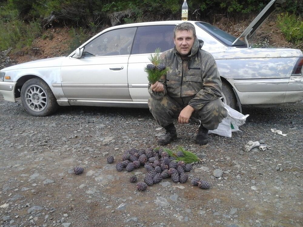 ���� 8099546 ������� �������, 48 ���, ���� ���������� � �����������