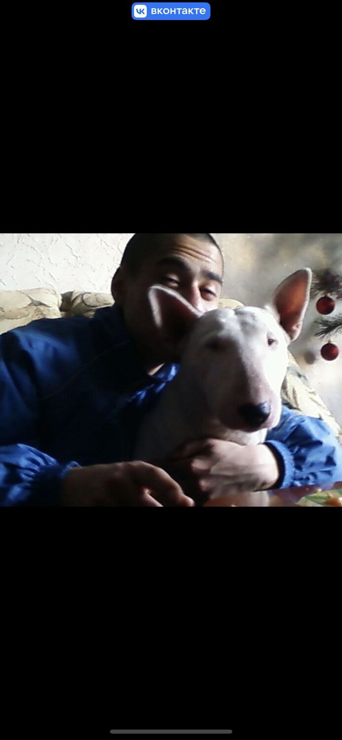 ���������� ������, ���� ������� �����, 35 ���, ������������ ��� ������, ����� � ���������