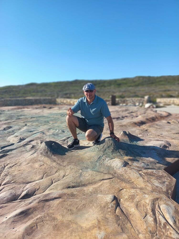 ���� 56099416 ������� ������, 50 ���, ���� ���������� � ������