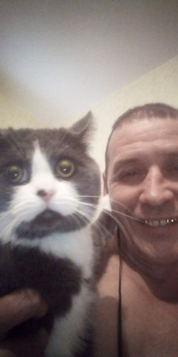 ���������� �������, ���� ������� �����, 55 ���, ������������ ��� ������, ����� � ���������, c�������� ���������