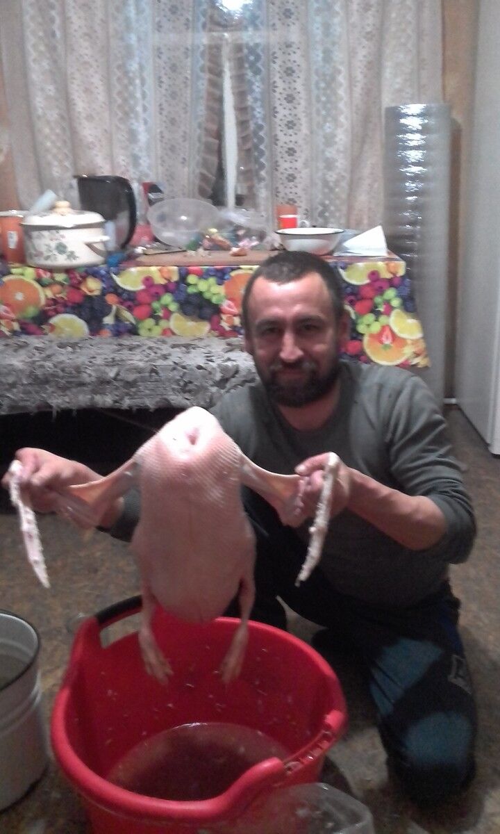  ,   , 40 ,   