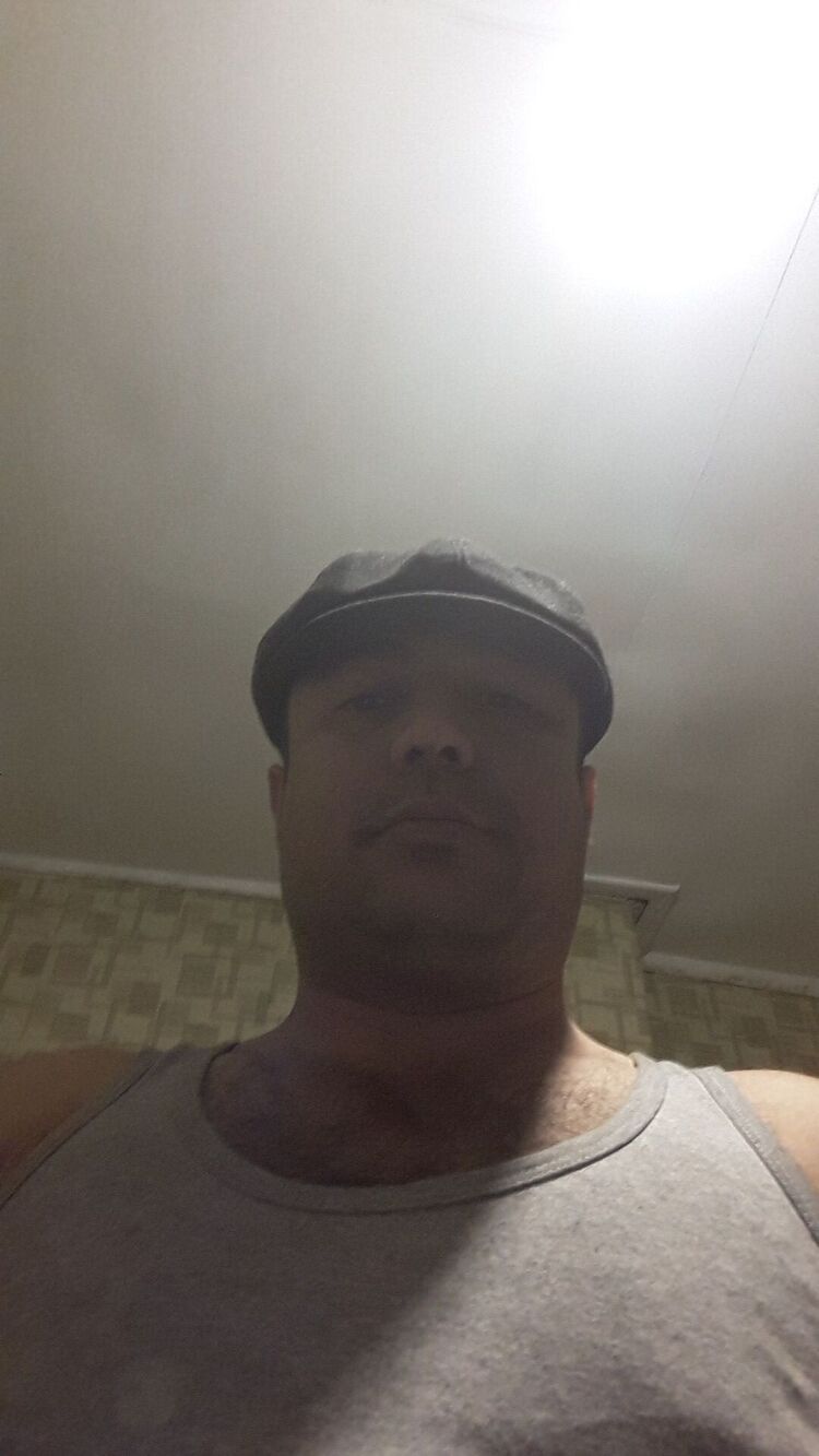  31317486  , 34 ,    