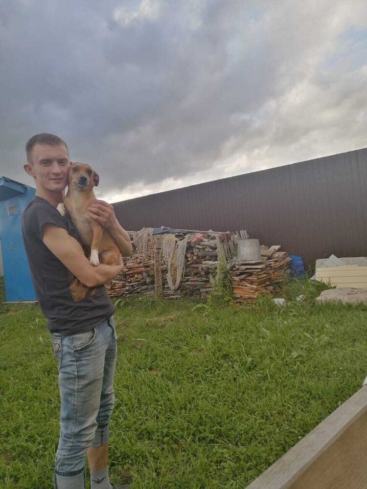  29948646  , 31 ,    -