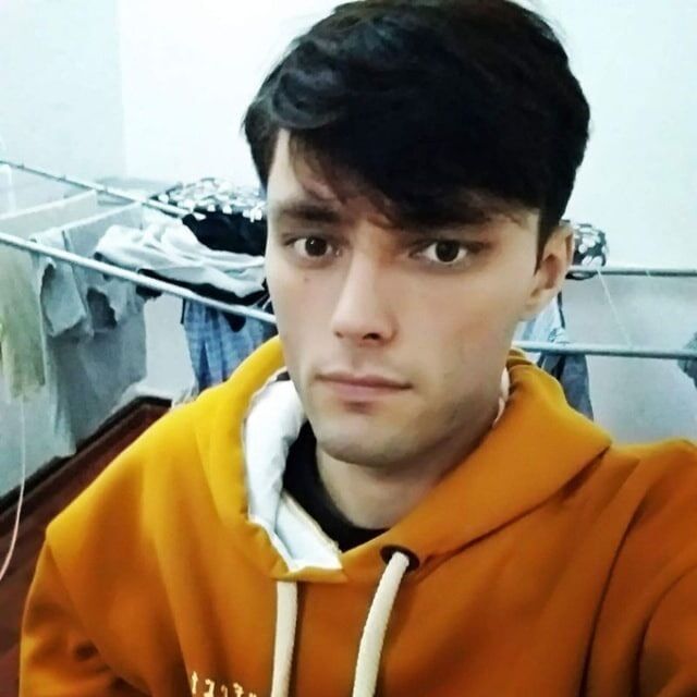  42388786  , 28 ,    