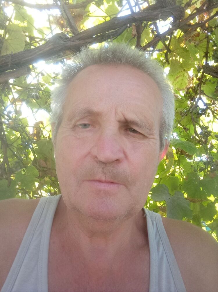  53509796  , 56 ,    