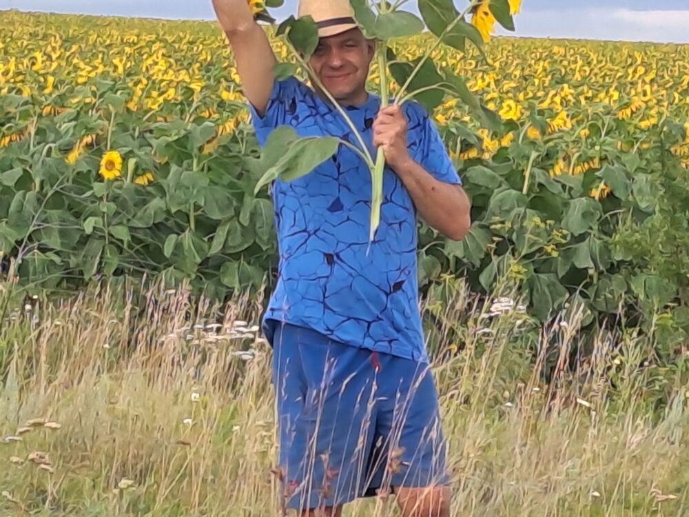  53254546  , 47 ,    