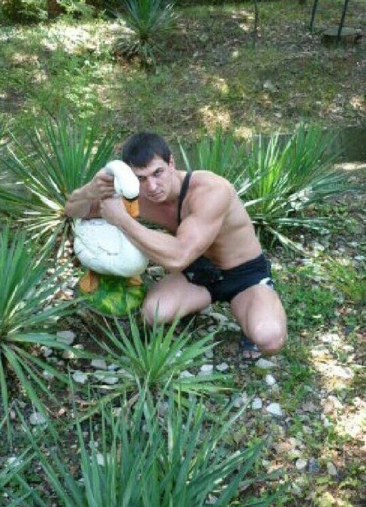 ���������� �����������-��-�����, ���� ������� ����, 38 ���, ������������ ��� c�������� ���������