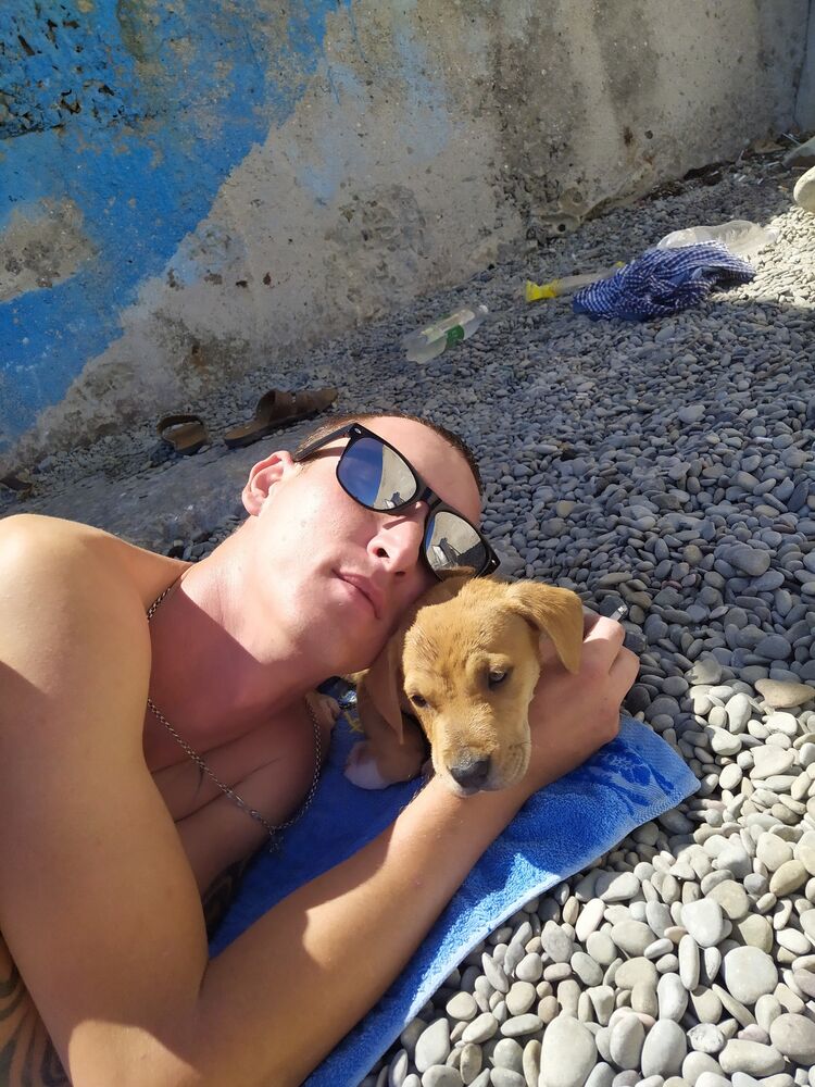 ���� 25213736 ������� ����, 33 ����, ���� ���������� � �����������