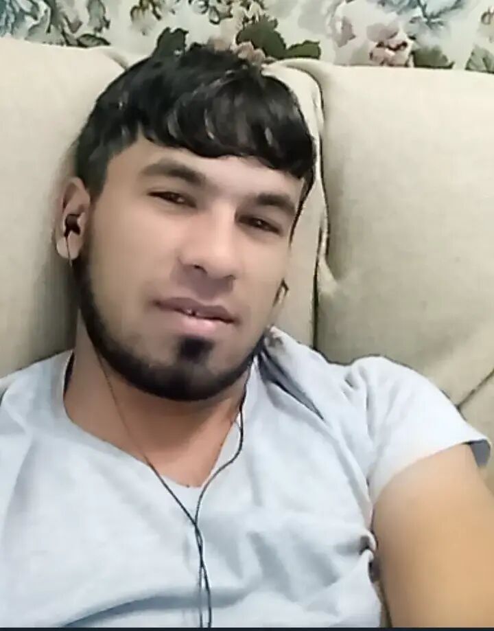 ���� 33120136 ������� ����, 33 ����, ���� ���������� � ������