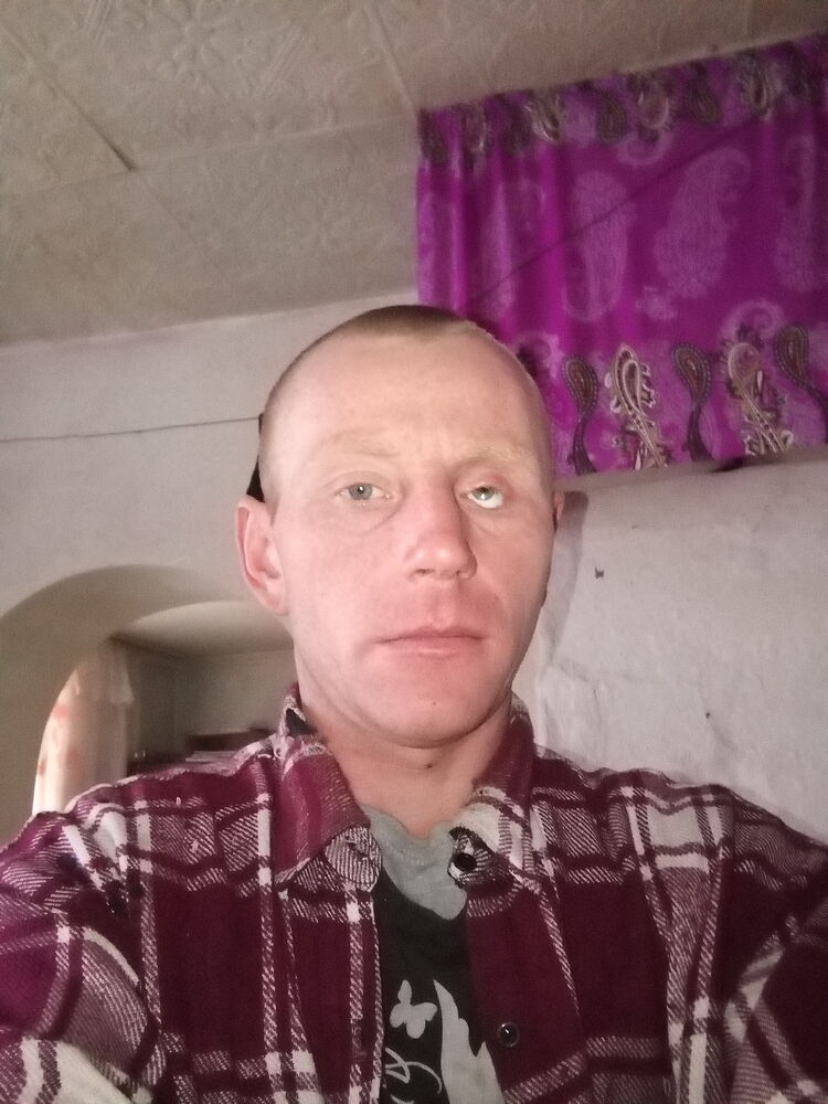  47840386  , 38 ,    