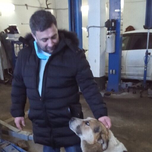 ���� 22774066 ������� ����, 30 ���, ���� ���������� � ������