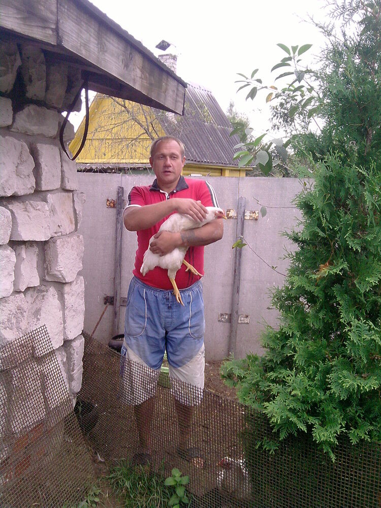 ���������� �������, ���� ������� ������, 53 ����, ������������ ��� ����� � ���������, c�������� ���������