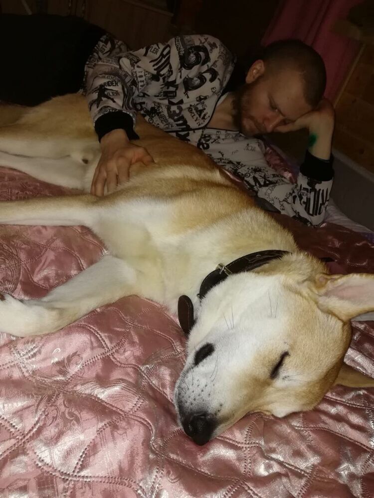 ���� 25110886 ������� �����, 32 ����, ���� ���������� � ������