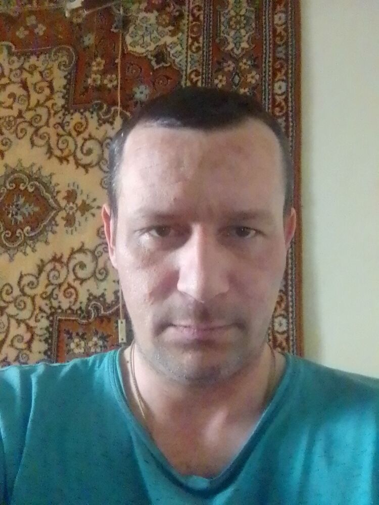  33342756  , 38 ,    