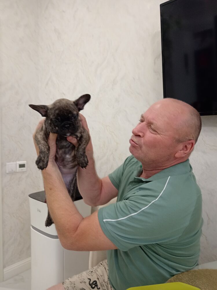 ���������� ��������, ���� ������� ������, 62 ����, ������������ ��� ������, ����� � ���������