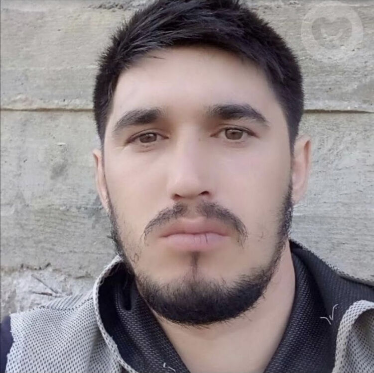  ,    , 33 ,   ,   