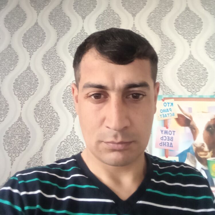 23419016  , 34 ,    