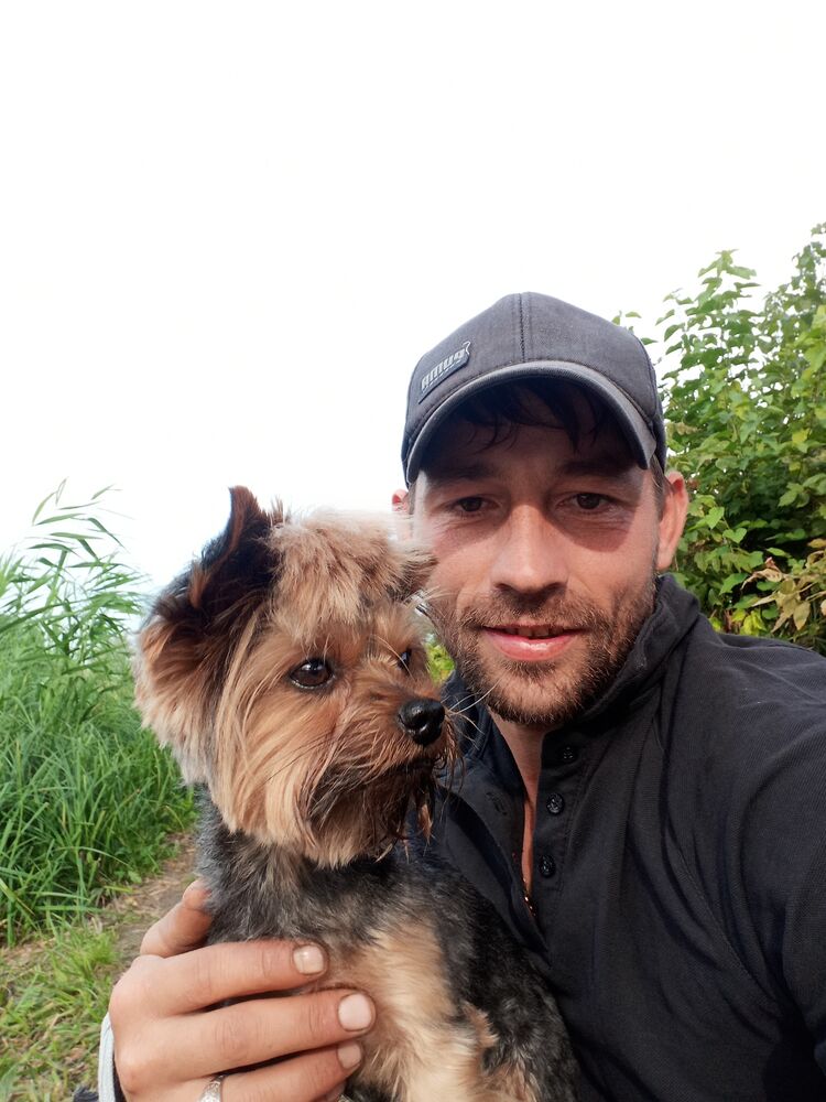 ���� 54428176 ������� �����, 33 ����, ���� ���������� � ���������