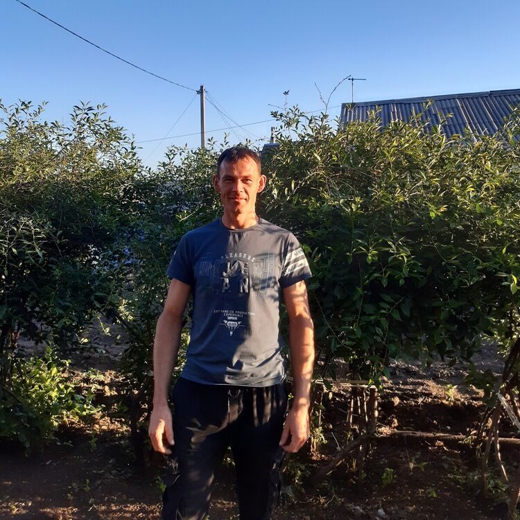 ���� 20733246 ������� ������, 37 ���, ���� ���������� � ���������