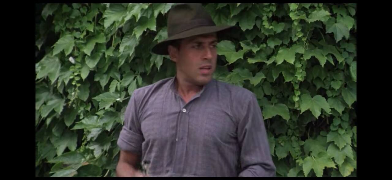 ���� 50119866 ����� Werner, 22 ����, ���� ���������� � ������