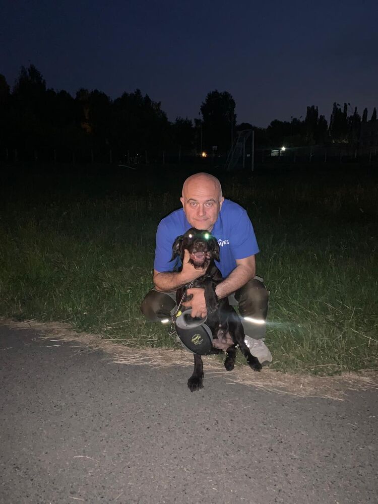 ���������� ������������, ���� ������� �������, 50 ���, ������������ ��� c�������� ���������