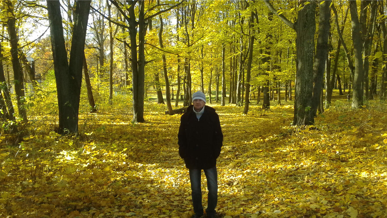 ���������� �����, ���� ������� ����, 46 ���, ������������ ��� ������, ����� � ���������