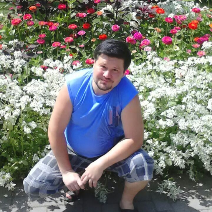  15998936  , 48 ,    