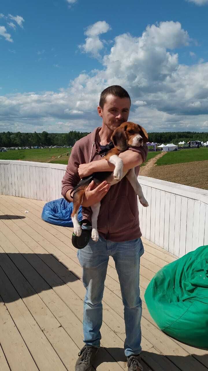 ���� 27965856 ������� ���������, 38 ���, ���� ���������� � ������