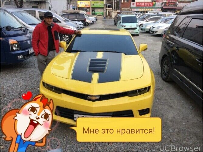  32951326  , 52 ,    