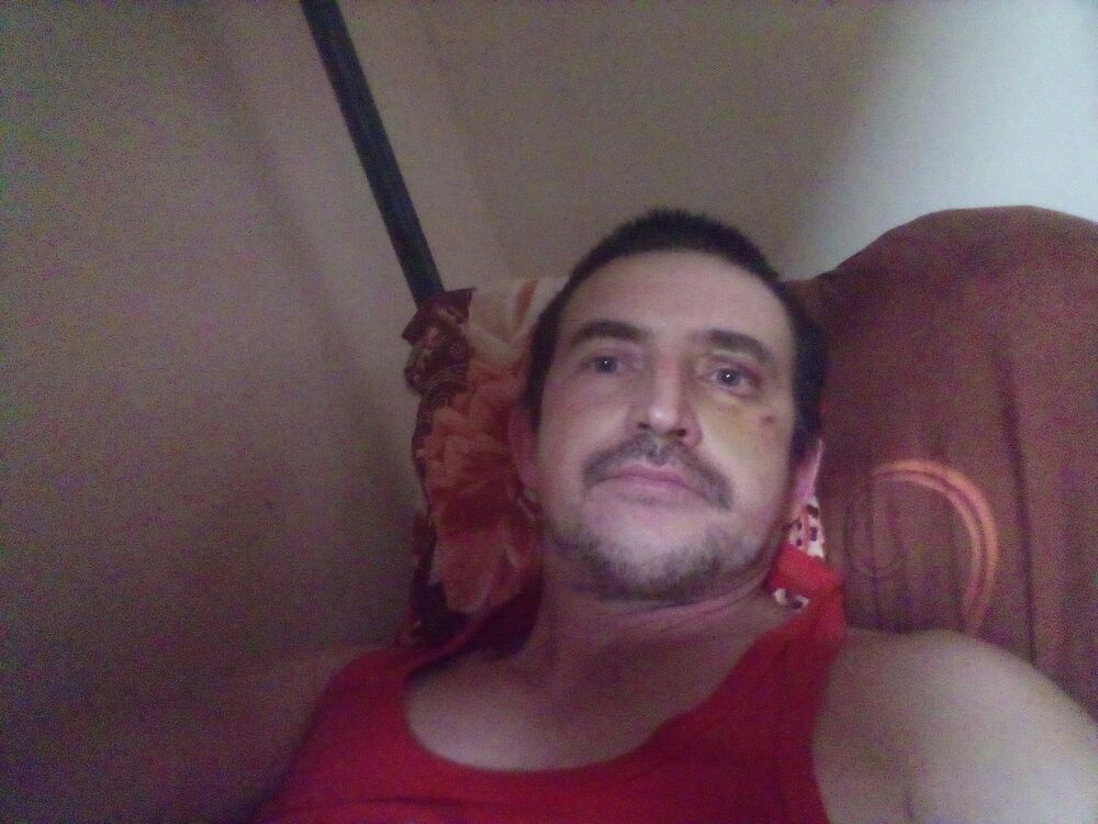 ���� 24611156 ������� �����, 44 ����, ���� ���������� � �����������