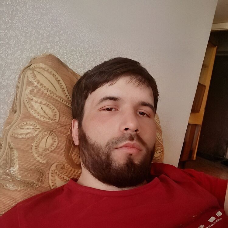  46255986  , 31 ,    