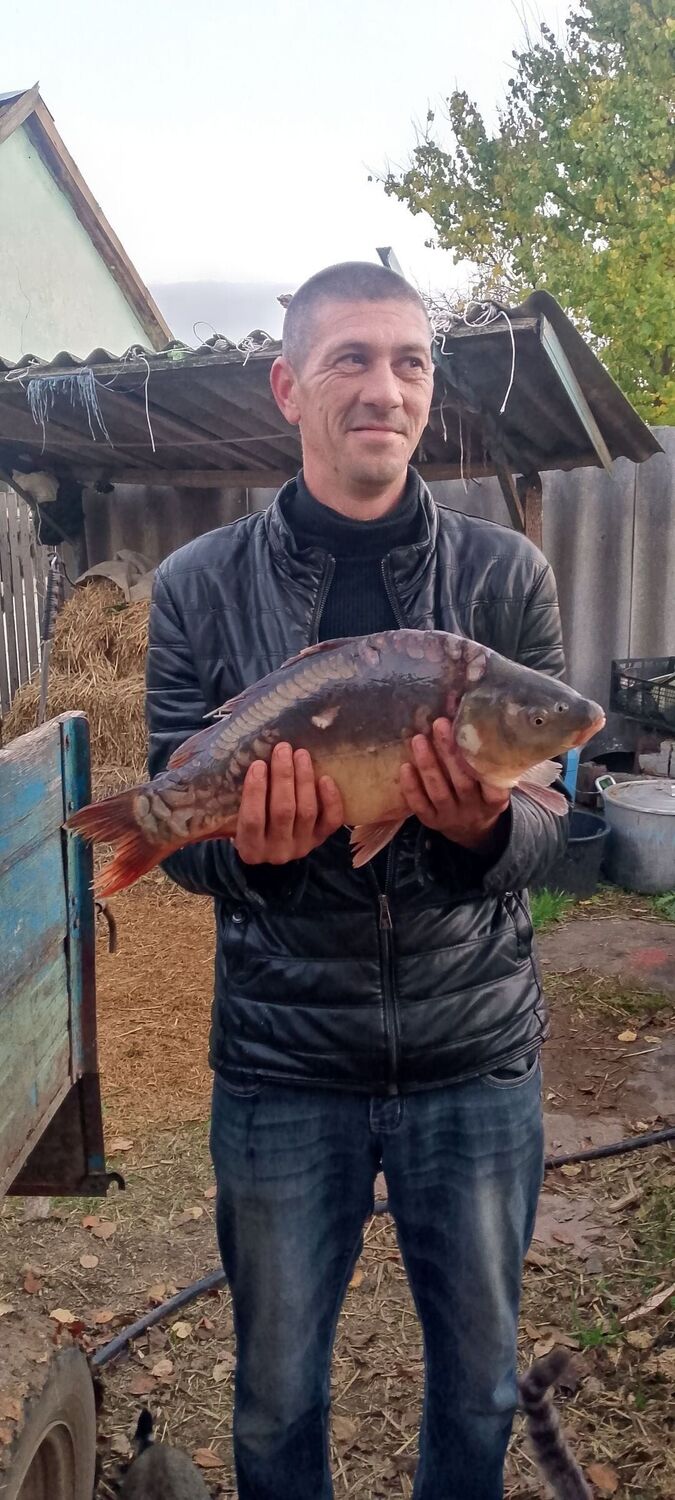 ���� 55431826 ������� ��������, 39 ���, ���� ���������� � �����������