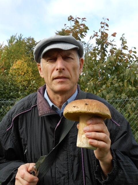  ,   , 66 ,   ,   