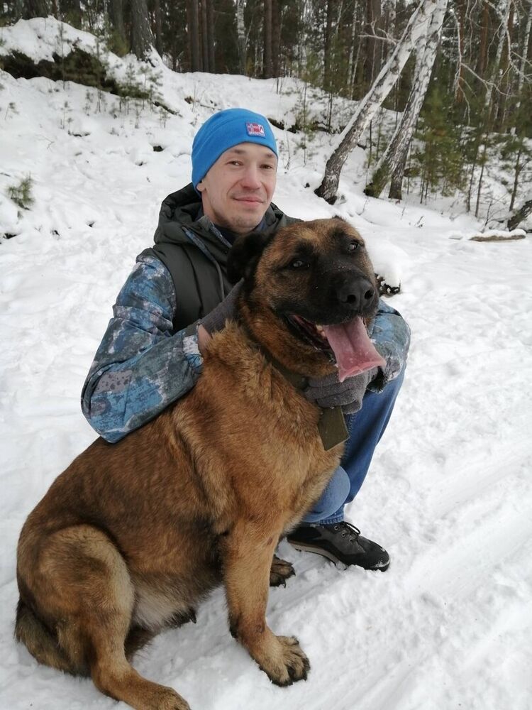 ���������� ����������, ���� ������� �������, 37 ���, ������������ ��� ������, ����� � ���������