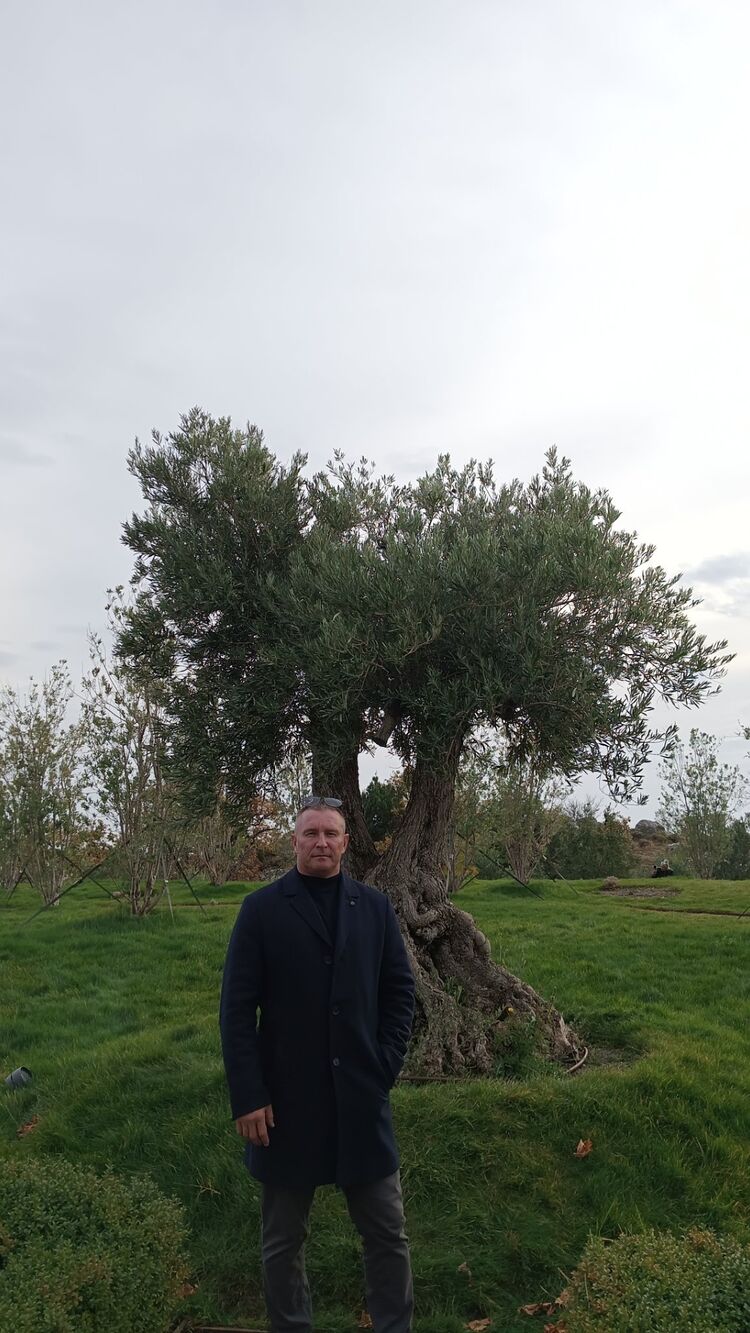 ���� 31095356 ������� Aleks, 45 ���, ���� ���������� � �����������