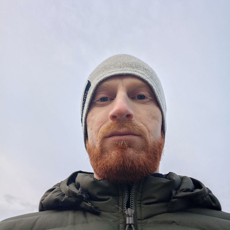 ���� 31130666 ������� �������, 31 ���, ���� ���������� � ������