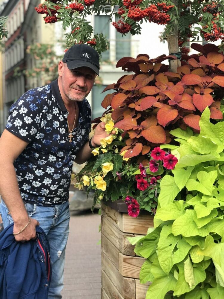 ���� 31429146 ������� �������, 42 ����, ���� ���������� � ������