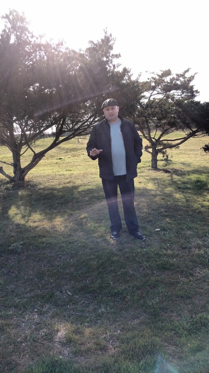 ���� 18183966 ������� ϸ��, 50 ���, ���� ���������� � ������