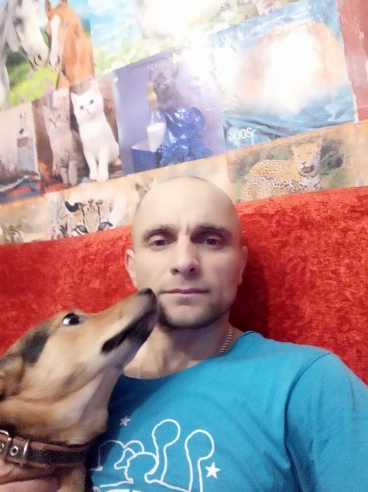  ,   , 41 ,     , c , 