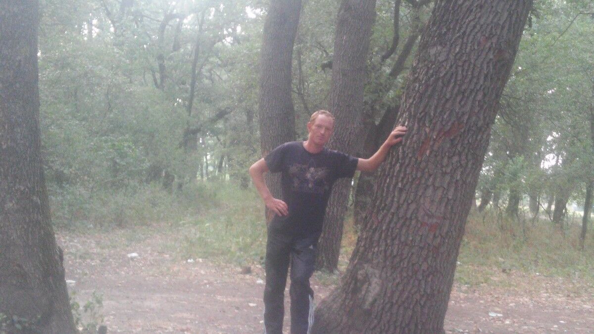 ���������� ���������, ���� ������� �������, 40 ���, ������������ ��� ������, ����� � ���������, c�������� ���������