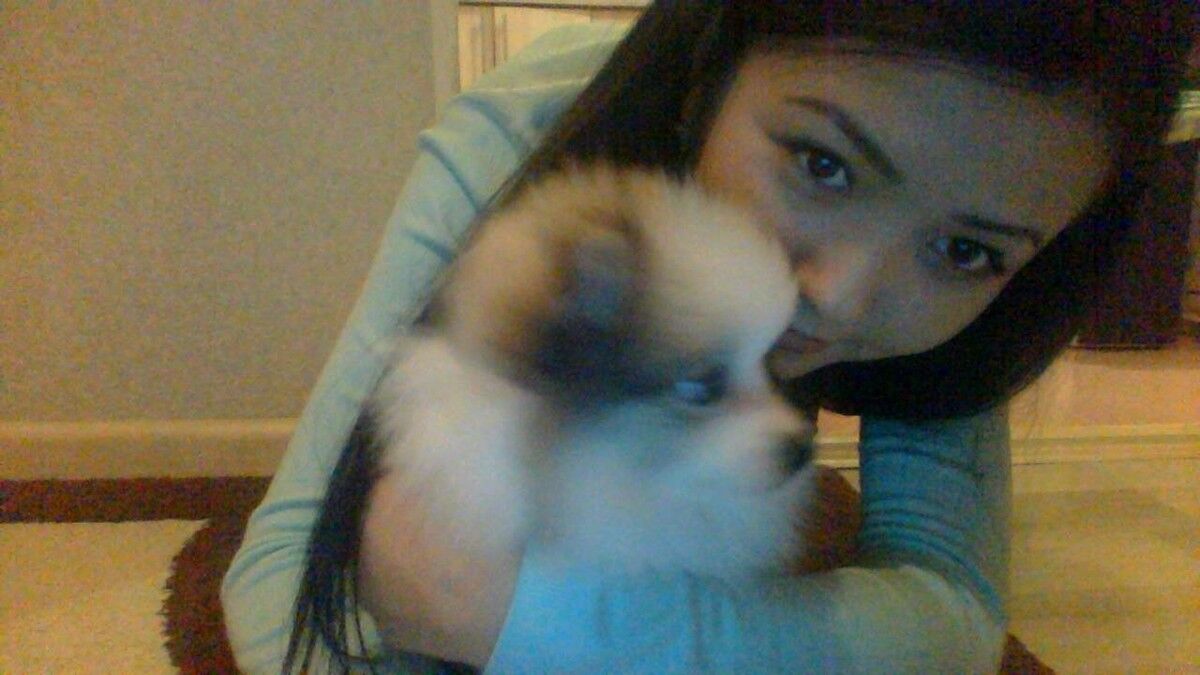 ���������� ������, ���� ������� ������, 30 ���, ������������ ��� ������, ����� � ���������, c�������� ���������