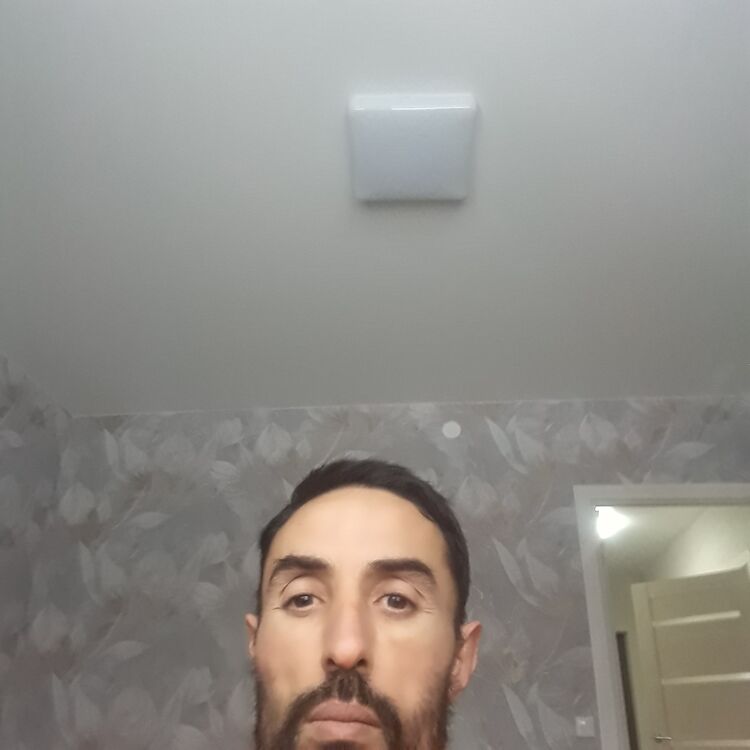  48159496  , 42 ,    